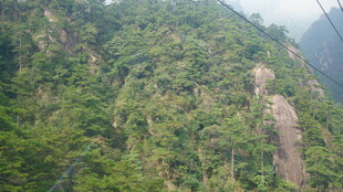 翠绿山峦 自然的绿意画卷