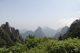 黄山奇峰绿意美景