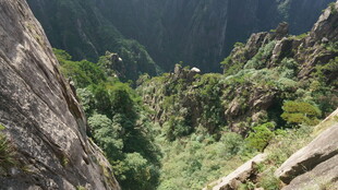 山间峭壁旁的葱郁植被