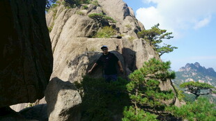 峻峭山石旁的翠绿松树