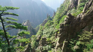 峻峭山峰与葱郁林木