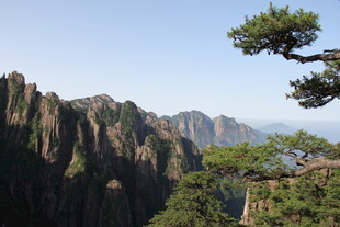 黄山奇峰与苍松景观
