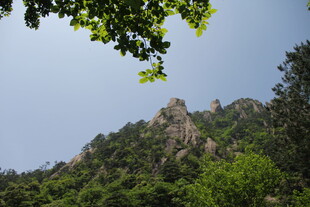 青山绿树间的秀丽山峰