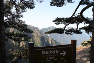 黄山景区指示牌风景