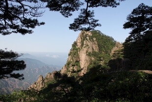 黄山奇峰 绿树环绕美景