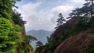 山间绿意盎然的壮丽景色