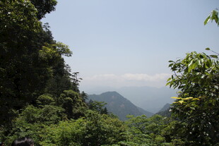 山林间远眺青山美景