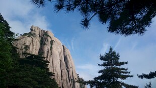 巍峨山峰与葱郁树木