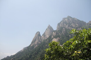 巍峨山峰与葱郁植被