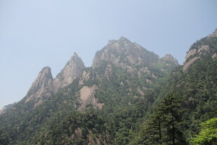 巍峨青山绿意浓