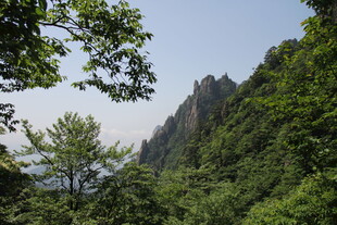 青山绿树间的秀丽山峰