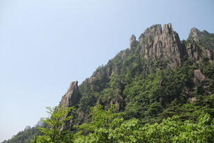 峻峭山峰覆绿植