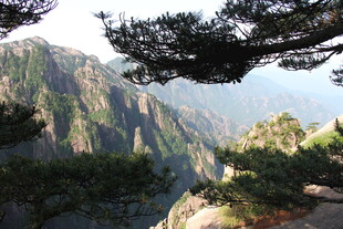 黄山奇峰与苍松景观