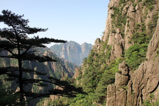 黄山奇峰与苍松美景