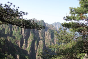 壮丽黄山奇峰与松景