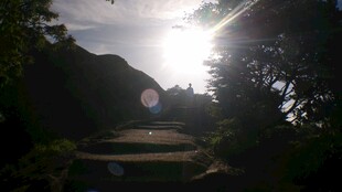 阳光穿透树林下的露营地