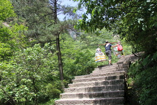 山林间徒步者攀登石阶