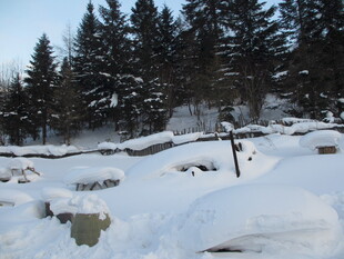 冬日雪景中的静谧山林