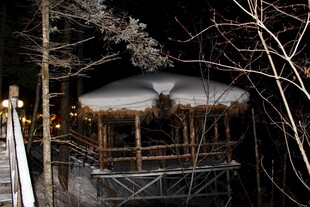 夜晚山林中的温馨木屋