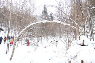 冬日雪地林间徒步场景