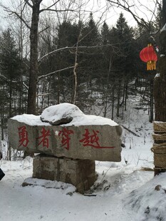 雪覆石碑的静谧山林景