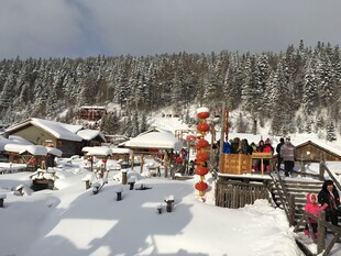 冬日雪乡热闹场景