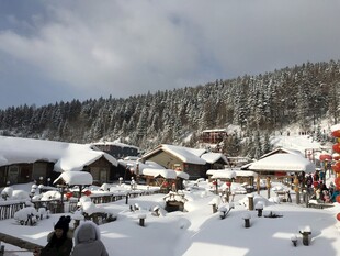 雪覆村落 冬日温馨景象
