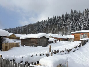 雪覆木屋旁的冬日山林