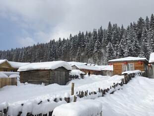 雪覆山村美景