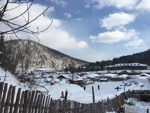 冬日山村雪景图