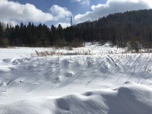 冬日雪景中的开阔雪地