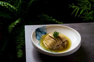 葱油鸡