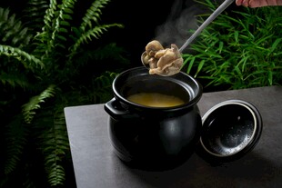 鸡汤