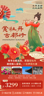 洛阳牡丹文旅宣传海报