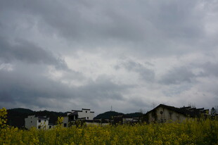 阴云下的田野与村落