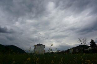 阴云下的田野与建筑