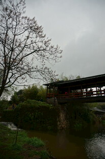 雨中河畔古桥与萧瑟树木