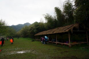 户外草地旁的简易茅草屋