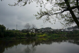 湖畔景致 静谧自然之美