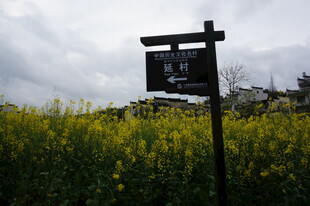 田野中的指示牌