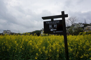 田野中的古朴指示牌