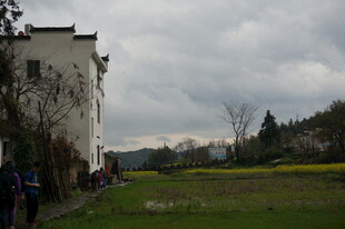 白墙建筑旁的开阔草地