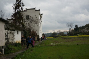 户外草地旁的建筑与人群