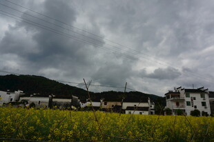 田园油菜花与村落美景