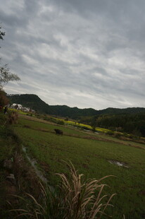 山间绿野 云遮天际景色
