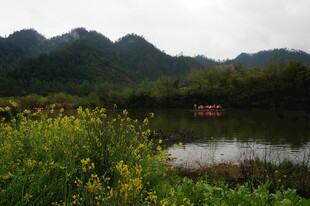 湖畔繁花与远山美景