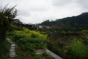 山间小径旁的田园风光