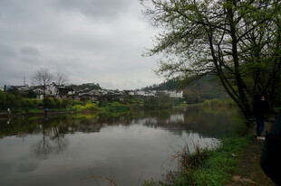乡村河畔风景