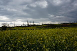 田野上的阴云与电力设施