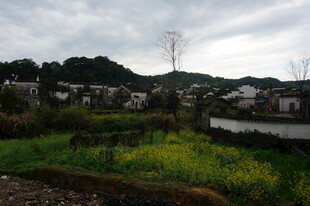 乡村田园风光美景